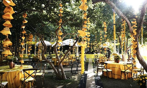 Grand Sangeet & Floral Canopy